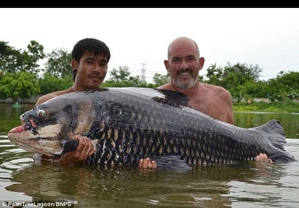 صید بزرگترین ماهی+تصاویر