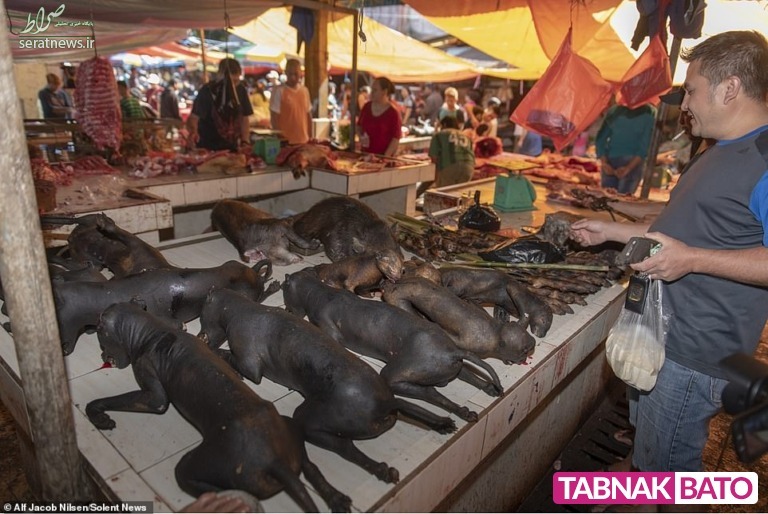 استقبال مردم اندونزی از گوشت خفاش با وجود کرونا! +عکس
