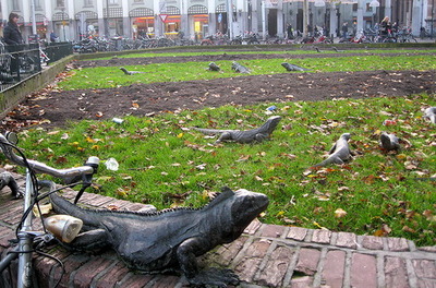 پارک ایگوانا، آمستردام، هلند