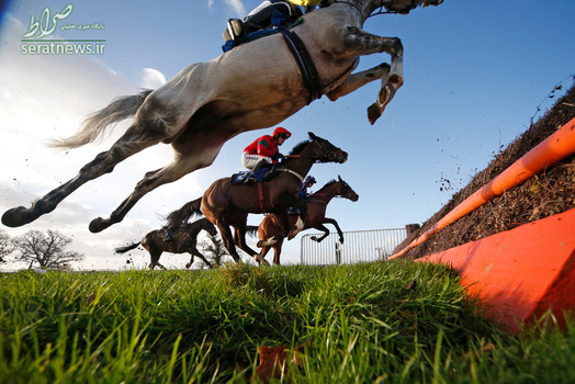 مسابقات اسب سواری در تاونتون انگلیس