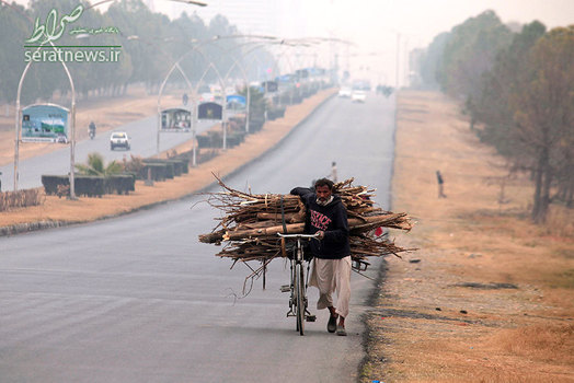 حمل هیزم با دوچرخه برای گرمایش و پخت و پز - اسلام آباد، پاکستان