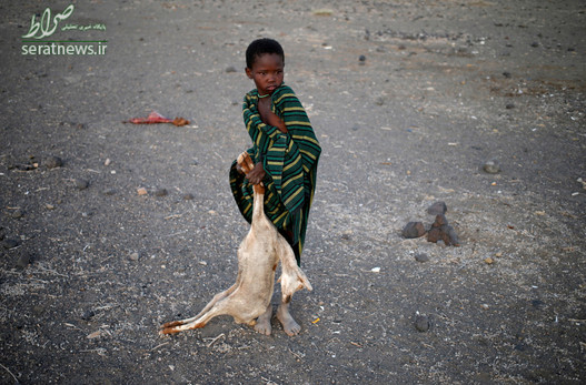 یک پسر روستایی در حال حمل لاشه یک بز در کنیا