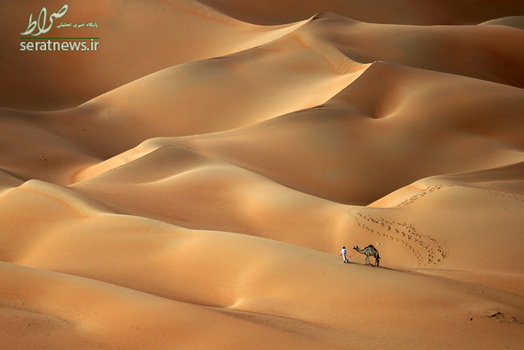مرد اماراتی با یک شتر در صحرا