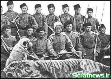 شکار ببر مازندران در سال 1912/ عکس