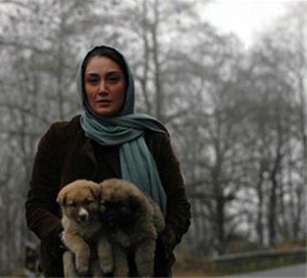 عکس/ سگ های هدیه تهرانی