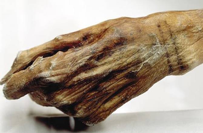 خالکوبی مومیایی 5300 ساله+عکس