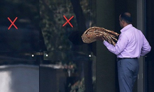 نان سنگک در جلسه هیات دولت