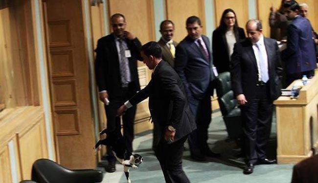 گربۀ پارلمان اردن جنجال به پا کرد+عکس