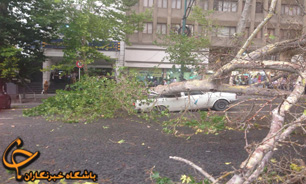 افتادن درخت روی خودرو بر اثر طوفان شدید + تصاویر