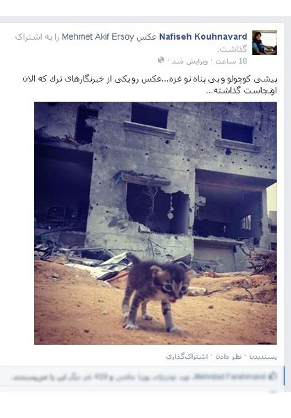 دلسوزی متفاوت در غزه!+عکس