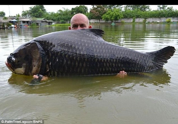 صید بزرگترین ماهی+تصاویر