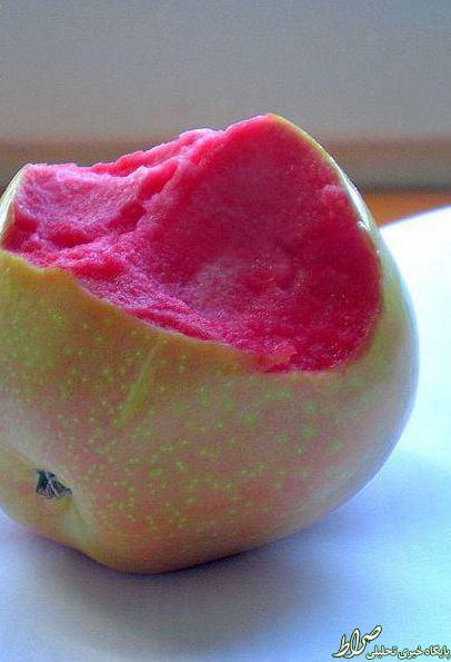 عکس: عجیب ترین سیب جهان
