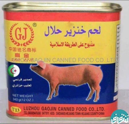 گوشت خوک حلال هم آمد! +عکس