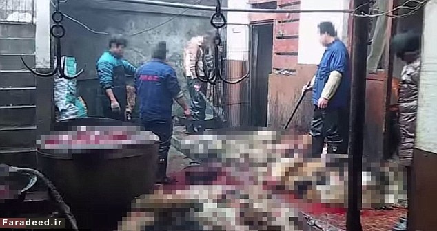 (تصاویر) «سگ‌کشی» هولناک در چین