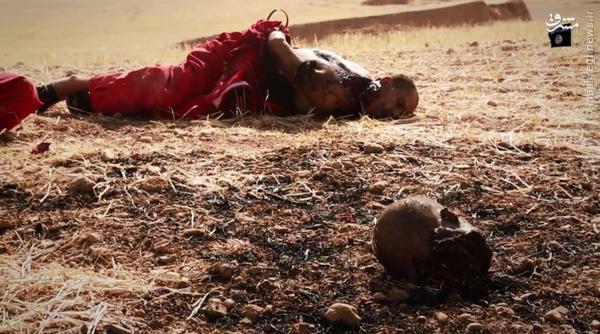 شیوه های نوین اعدام داعش +تصاویر