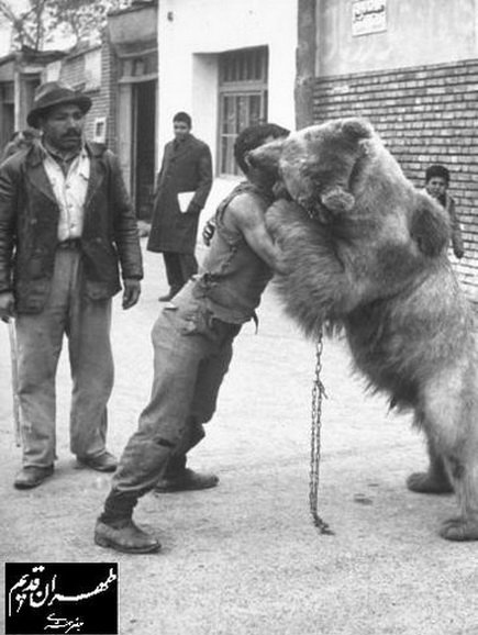 کُشتی با خرس در تهران قدیم