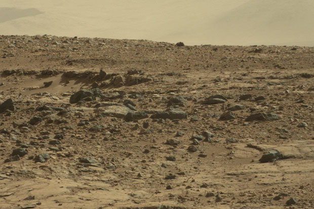 شکارموش عظیم‌الجثه در مریخ!+تصاویر