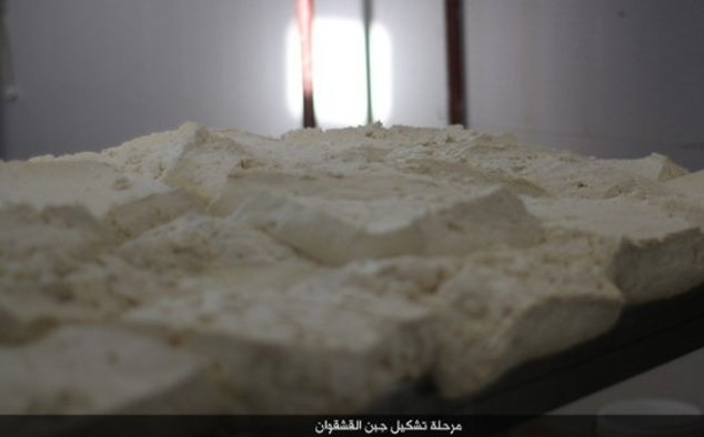 کارخانه لبنیات داعش/ تصاویر