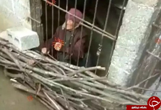عروس ظالم مادرشوهرش را در مرغدانی زندانی کرد +تصاویر