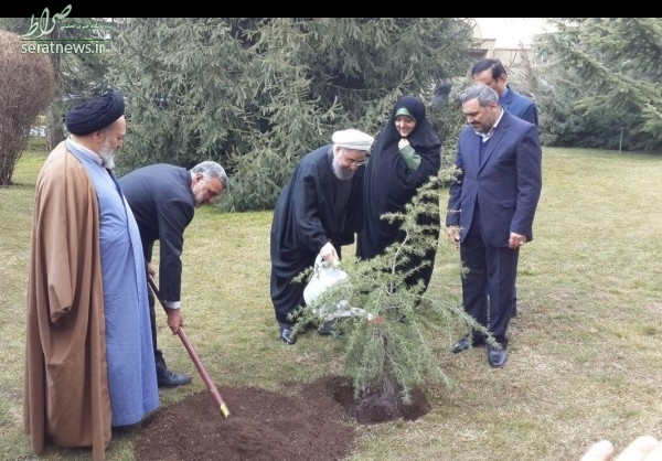 روحانی یک اصله نهال غرس کرد +عکس