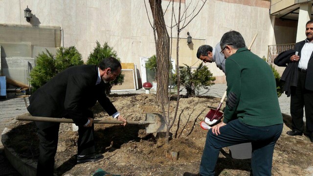عکس/ درختی که احمدی‌نژاد، مشایی و بقایی کاشتند