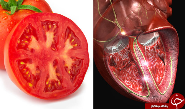 این میوه ها درست شکل اعضای بدنتان هستند + تصاویر