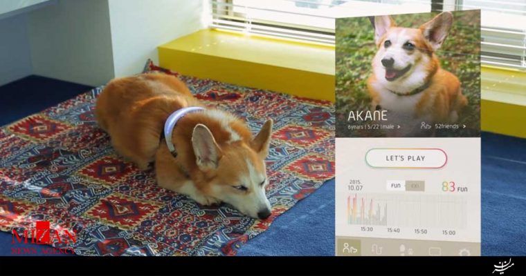 قلاده هوشمندی برای نشان دادن احساسات سگ+تصاویر