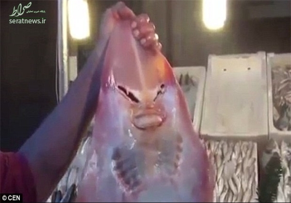 صید یک ماهی با چهره‌ای عجیب +تصاویر