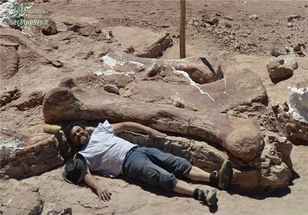 بزرگترین دایناسور تاریخ کشف شد + تصاویر
