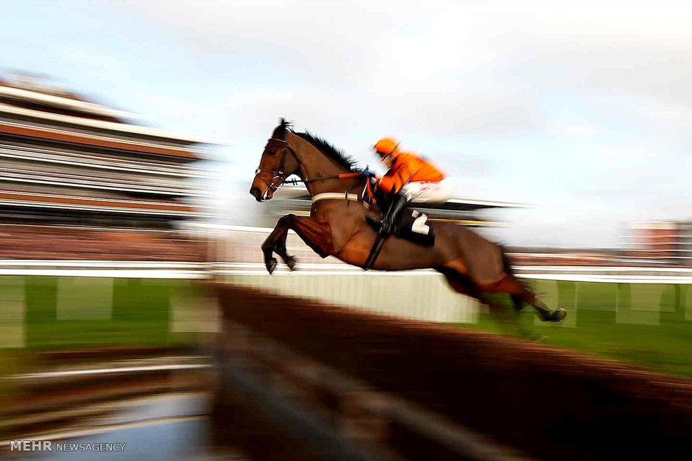 عکس/مسابقه اسب دوانی و پرش از مانع
