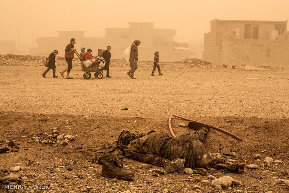 عکس/اجساد داعشی ها در مسیر حرکت عراقی ها