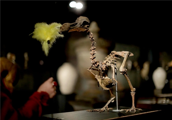 فروش استخوان‌های یک پرنده به قیمت 280 هزار پوند+تصاویر