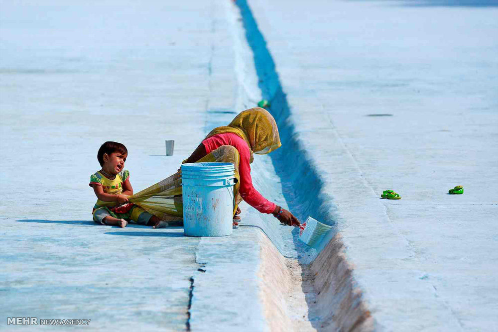 عکس/زن هندی در حال رنگ کردن جوی آب