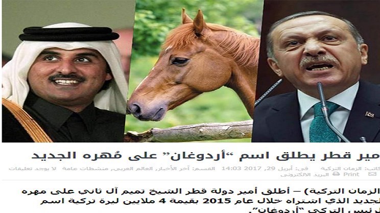 امیر قطر اسم اسب جدید خود را «اردوغان» گذاشت +عکس