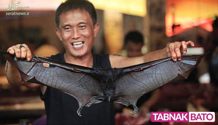 استقبال مردم اندونزی از گوشت خفاش با وجود کرونا! +عکس