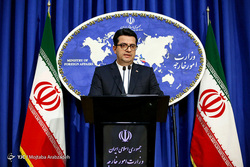 انتقاد موسوی از رفتار نژاد پرستانه مرزبانی آمریکا با ایرانیان