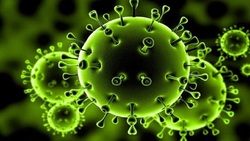 شناسایی نوع جدید و عفونی‌تر ویروس کرونا در آفریقای جنوبی