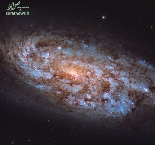 شکوه یک کهکشان مارپیچی ستاره‌فشان+عکس