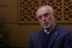 صالحی: فتوای رهبرانقلاب در حرمت بمب اتم، حرف نهایی ایران است