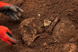 کشف استخوان ۸۱۴ انسان در یک گور دسته جمعی