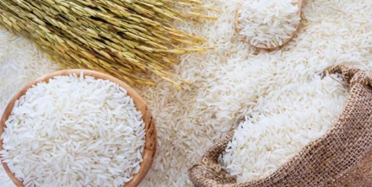 واردات یکصد هزارتن سیب زمینی و توزیع ۲۰۰ هزار تن برنج خارجی