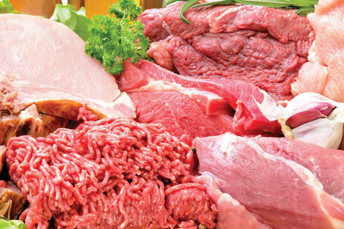سازمان دامپزشکی: گزارش فروش گوشت اسب و الاغ به دست ما رسیده