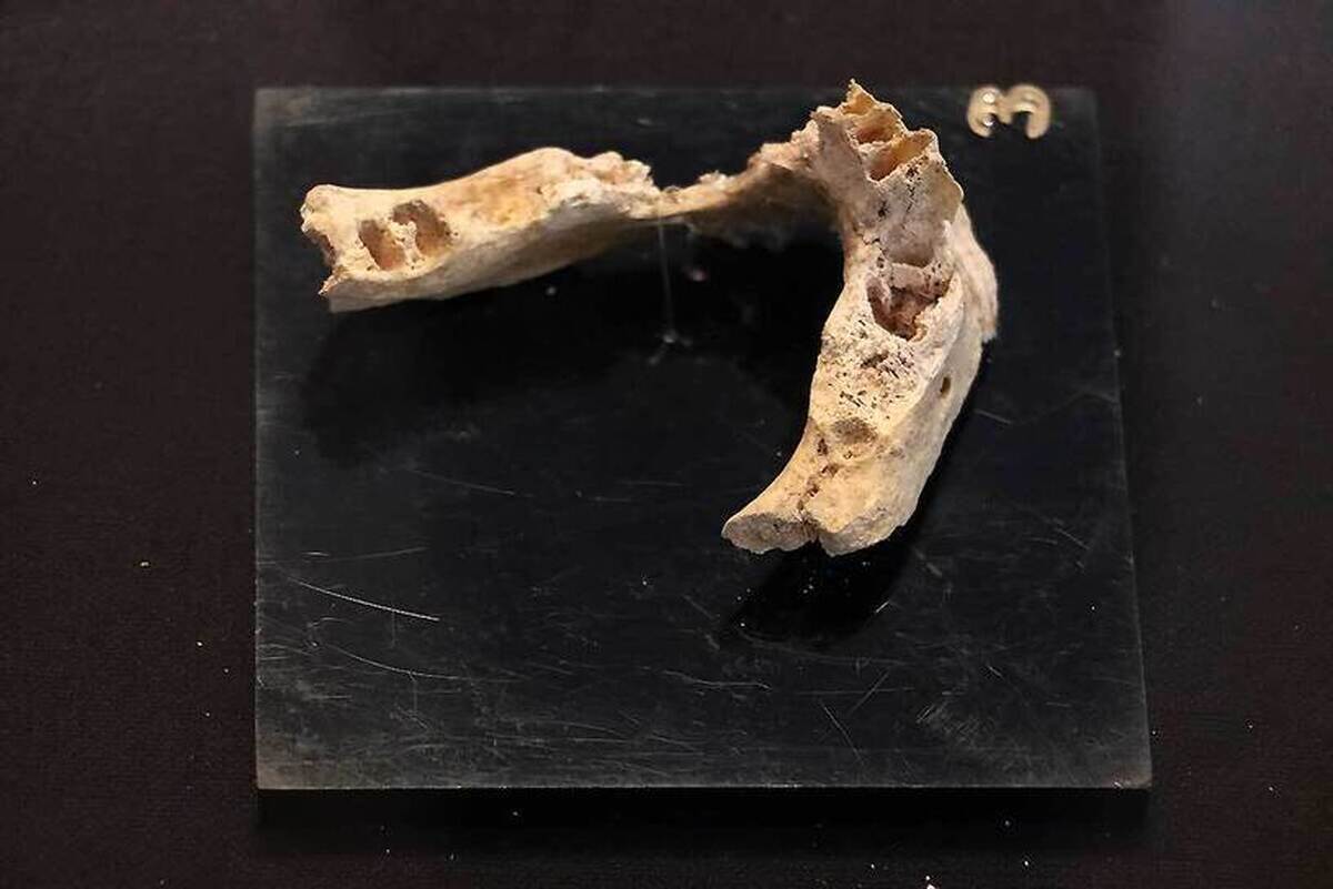 کشف فک و دندان انسان نئاندرتال متعلق به ۱۷۵ هزار سال قبل در قزوین + عکس