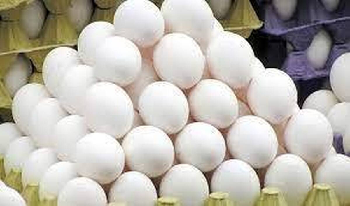 ۱۷۰ میلیون دلار تخم‌مرغ در سال ۱۴۰۲ صادر شد