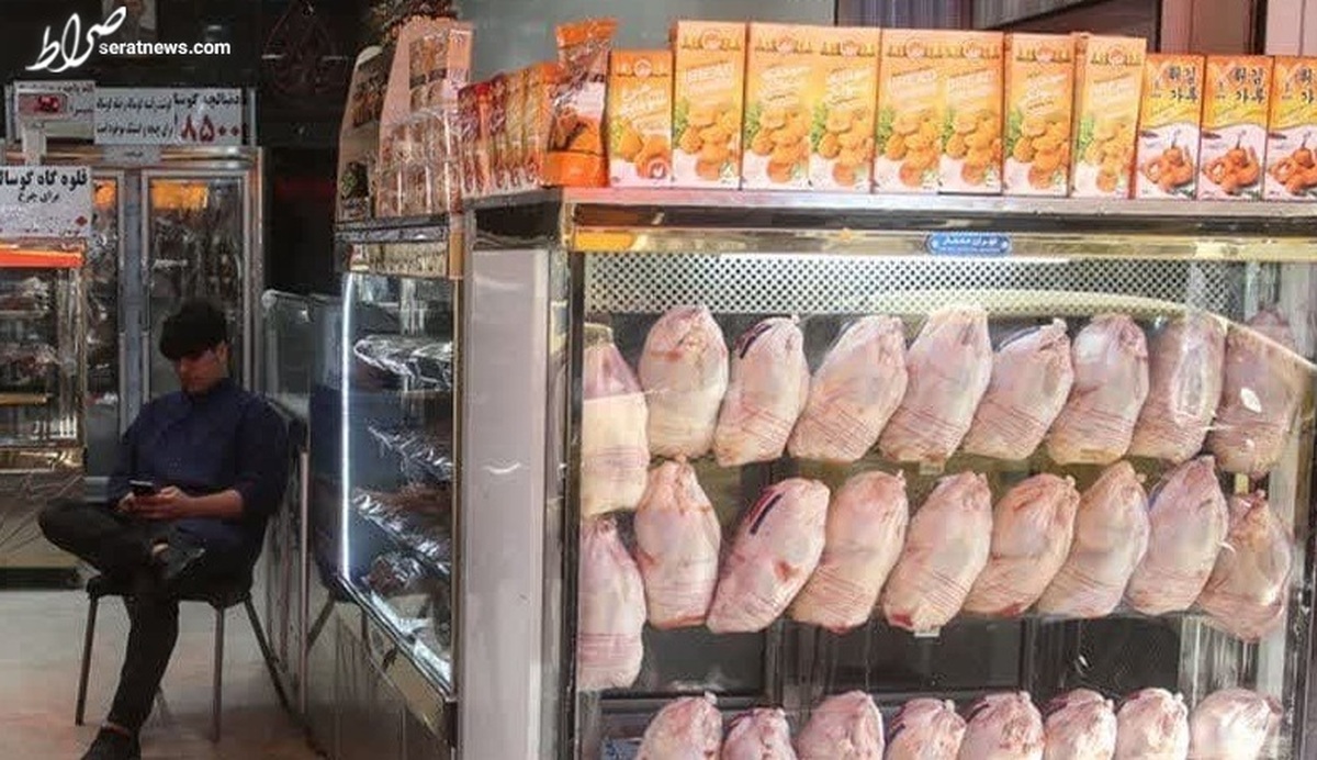 تمامی مرغ‌های موجود در بازار از نظر بهداشتی سالم هستند