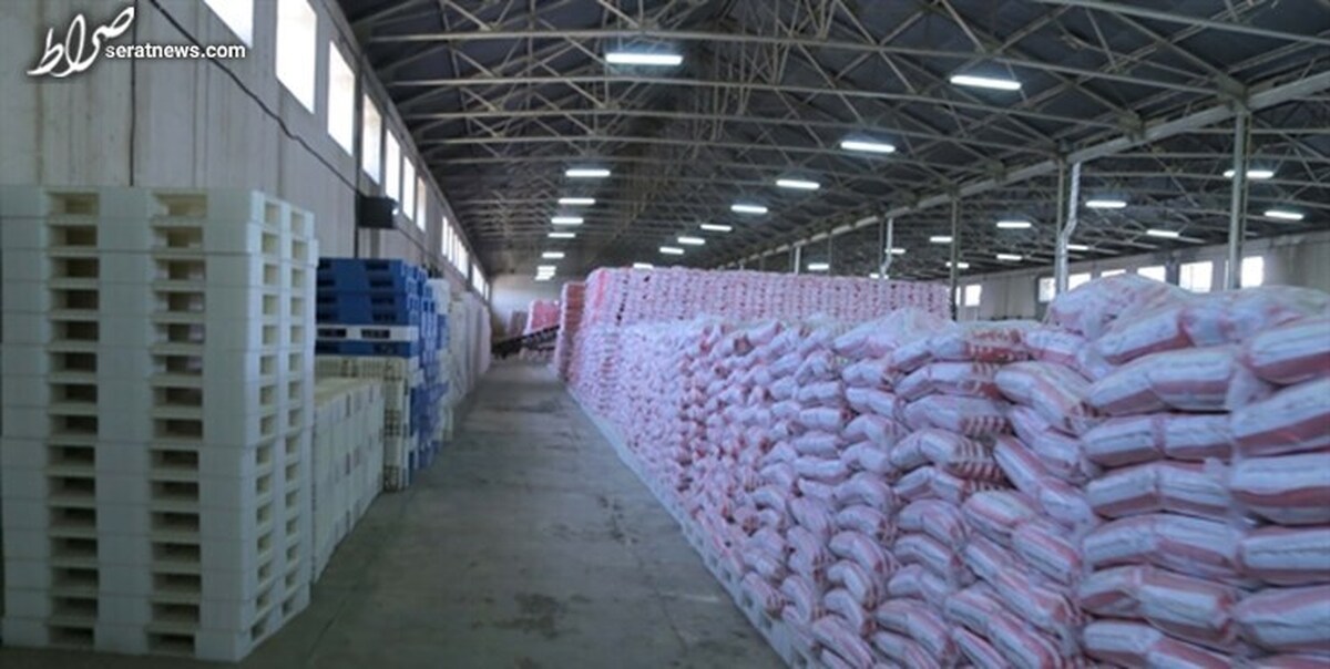 برنج مازاد کشاورزان با اعتبار 2500 میلیارد تومان خریداری می شود