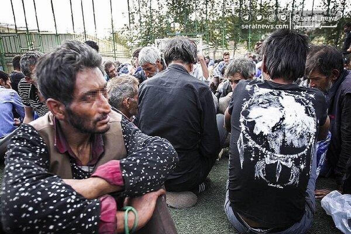 ۲۵۰۰ معتاد متجاهر در پایتخت جمع آوری شد