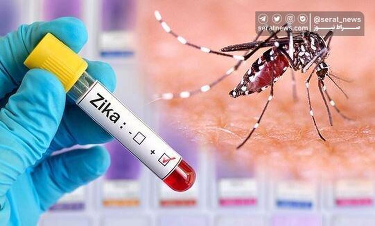 ویروس «زیکا» چه نوع ویروسی است؟