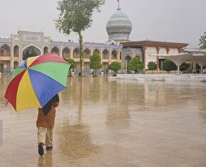 تصاویر / بارش باران و آب گرفتگی شدید معابر در شیراز