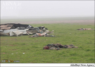 عکس سقوط هواپیما اخبار سوریه اخبار سقوط هواپیما اخبار حوادث